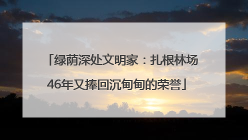 绿荫深处文明家：扎根林场46年又捧回沉甸甸的荣誉