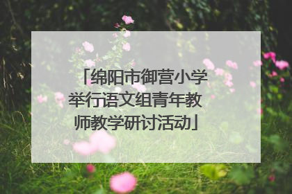 绵阳市御营小学举行语文组青年教师教学研讨活动
