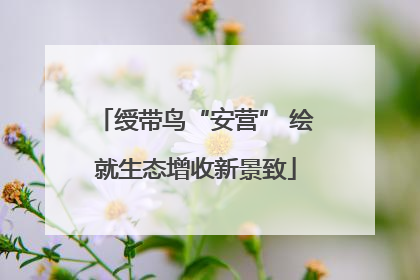 绶带鸟“安营” 绘就生态增收新景致