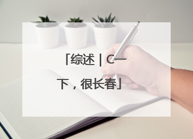 综述｜C一下，很长春