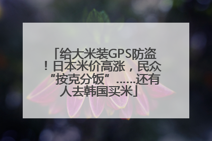 给大米装GPS防盗！日本米价高涨，民众“按克分饭”……还有人去韩国买米