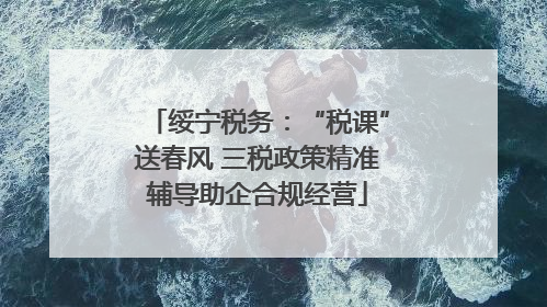 绥宁税务：“税课”送春风 三税政策精准辅导助企合规经营