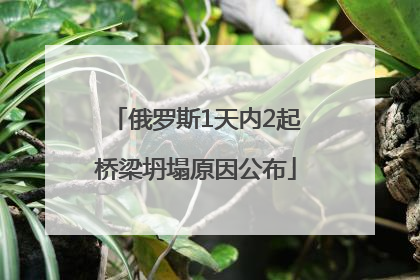 俄罗斯1天内2起桥梁坍塌原因公布