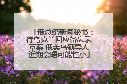 俄总统新闻秘书：待乌克兰回应备忘录草案 俄美乌领导人近期会晤可能性小