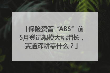 保险资管“ABS”前5月登记规模大幅增长，赛道深耕靠什么？