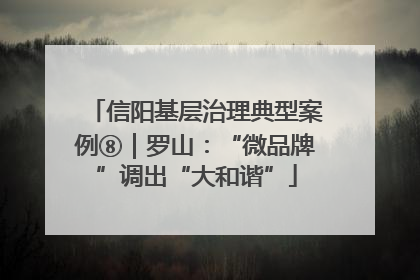 信阳基层治理典型案例⑧｜罗山：“微品牌”调出“大和谐”