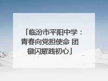 临汾市平阳中学：青春向党担使命 团徽闪耀践初心