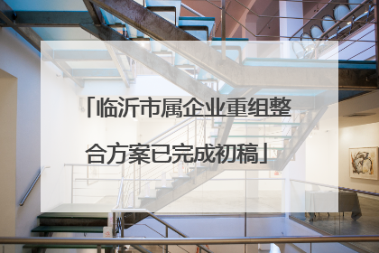 临沂市属企业重组整合方案已完成初稿