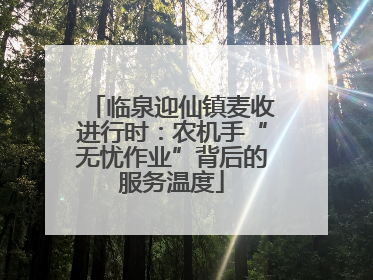 临泉迎仙镇麦收进行时：农机手“无忧作业”背后的服务温度