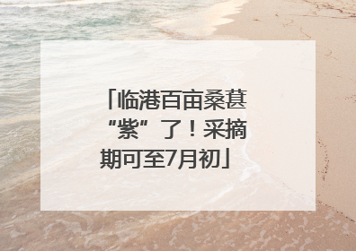 临港百亩桑葚“紫”了！采摘期可至7月初