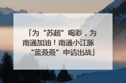 为“苏超”喝彩，为南通加油！南通小江豚“蓝叒叒”申请出战