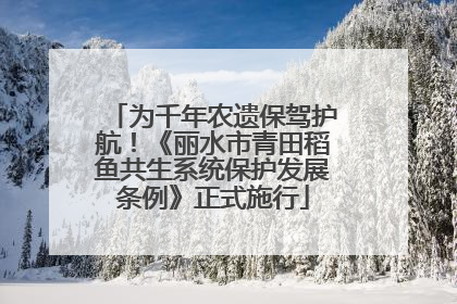 为千年农遗保驾护航！《丽水市青田稻鱼共生系统保护发展条例》正式施行