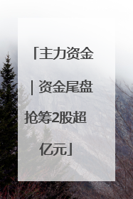 主力资金｜资金尾盘抢筹2股超亿元