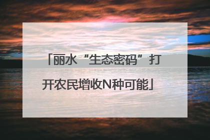丽水“生态密码”打开农民增收N种可能