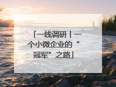一线调研丨一个小微企业的“冠军”之路
