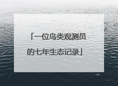 一位鸟类观测员的七年生态记录