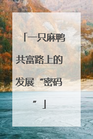 一只麻鸭共富路上的发展“密码”