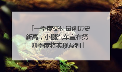 一季度交付量创历史新高，小鹏汽车宣布第四季度将实现盈利