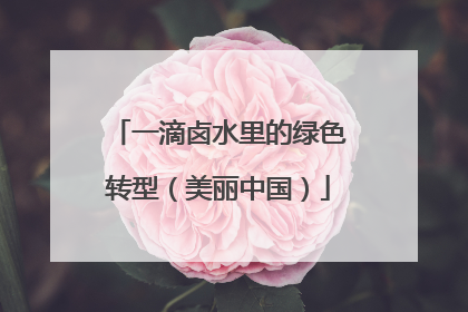 一滴卤水里的绿色转型（美丽中国）