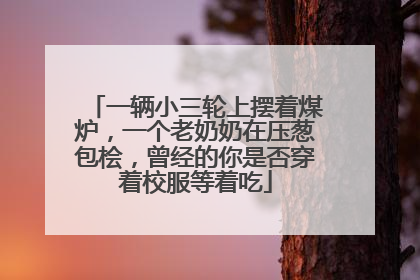 一辆小三轮上摆着煤炉，一个老奶奶在压葱包桧，曾经的你是否穿着校服等着吃