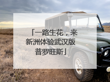 一路生花，来新洲体验武汉版普罗旺斯
