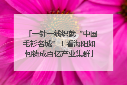 一针一线织就“中国毛衫名城”！看海阳如何铸成百亿产业集群