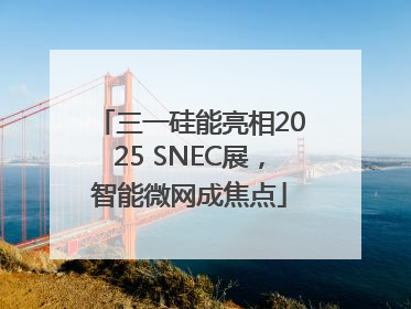 三一硅能亮相2025 SNEC展，智能微网成焦点