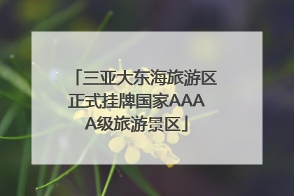 三亚大东海旅游区正式挂牌国家AAAA级旅游景区
