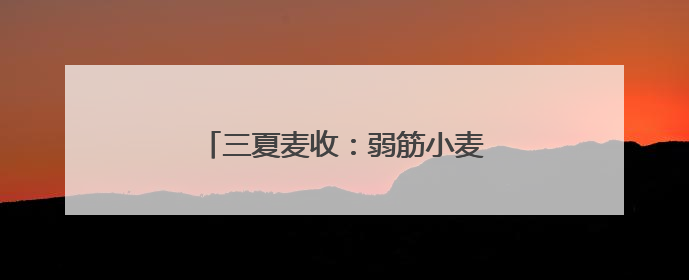 三夏麦收：弱筋小麦如何变得“强”起来