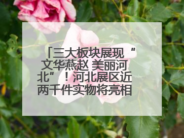 三大板块展现“文华燕赵 美丽河北”！河北展区近两千件实物将亮相深圳文博会