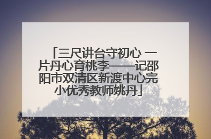 三尺讲台守初心 一片丹心育桃李——记邵阳市双清区新渡中心完小优秀教师姚丹