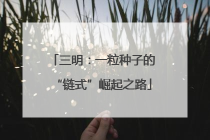 三明：一粒种子的“链式”崛起之路