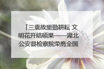 三袁故里勤耕耘 文明花开结硕果——湖北公安县检察院荣膺全国文明单位称号