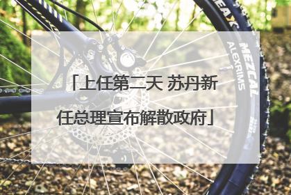 上任第二天 苏丹新任总理宣布解散政府