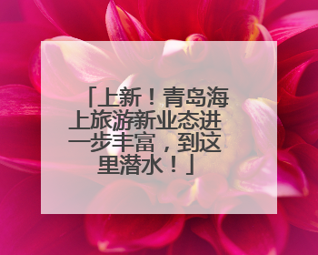 上新！青岛海上旅游新业态进一步丰富，到这里潜水！