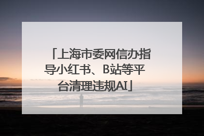 上海市委网信办指导小红书、B站等平台清理违规AI