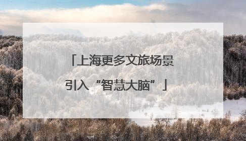 上海更多文旅场景引入“智慧大脑”
