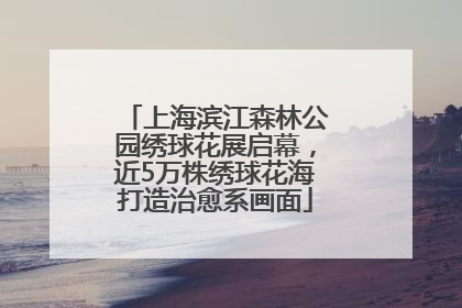 上海滨江森林公园绣球花展启幕，近5万株绣球花海打造治愈系画面