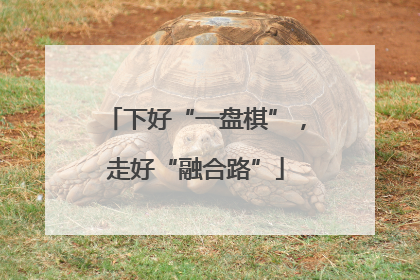 下好“一盘棋”，走好“融合路”