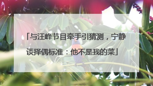 与汪峰节目牵手引猜测，宁静谈择偶标准：他不是我的菜