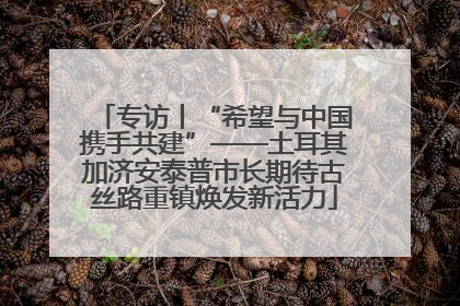 专访丨“希望与中国携手共建”——土耳其加济安泰普市长期待古丝路重镇焕发新活力