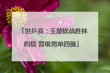 世乒赛：王楚钦战胜林昀儒 晋级男单四强