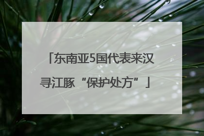 东南亚5国代表来汉寻江豚“保护处方”