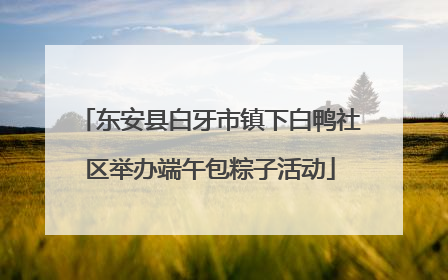 东安县白牙市镇下白鸭社区举办端午包粽子活动