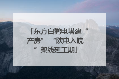 东方白鹳电塔建“产房” “陕电入皖”架线延工期