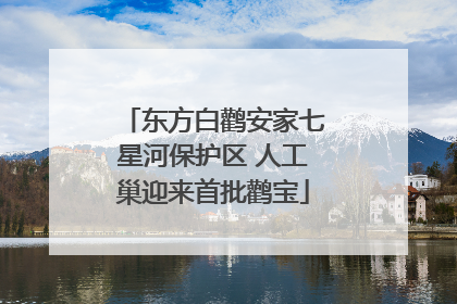东方白鹳安家七星河保护区 人工巢迎来首批鹳宝