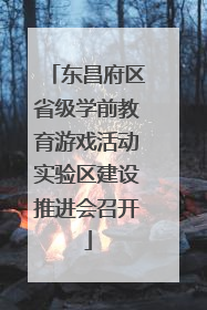 东昌府区省级学前教育游戏活动实验区建设推进会召开
