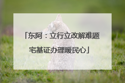 东阿：立行立改解难题 宅基证办理暖民心