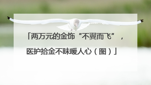 两万元的金饰“不翼而飞”，医护拾金不昧暖人心（图）