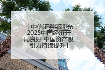 中信证券邹迎光：2025中国经济开局良好 中国资产吸引力持续提升